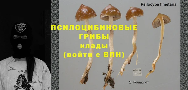 МДПВ Радужный