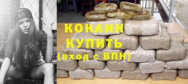 шишки Щёлкино