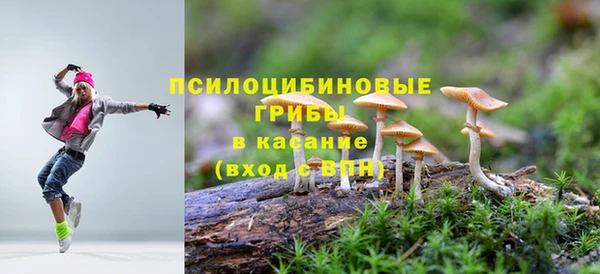 а пвп мука Щигры