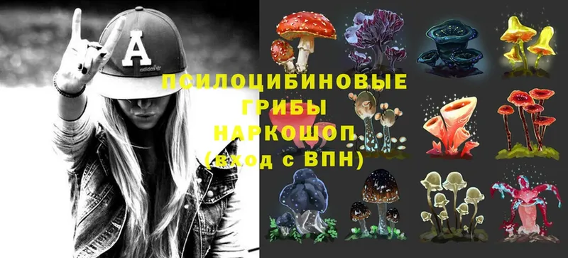 kraken ССЫЛКА  Заозёрный  Галлюциногенные грибы MAGIC MUSHROOMS 